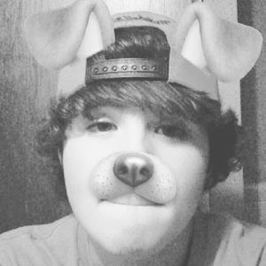 Meet your Posher, Phillip